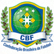 巴西国家队官方队徽